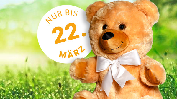 Der Dank Dir! Teddybär