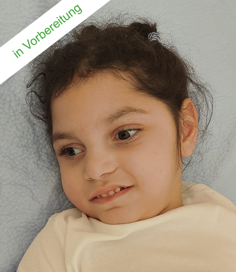 Projekt Neurophysiologische Therapie