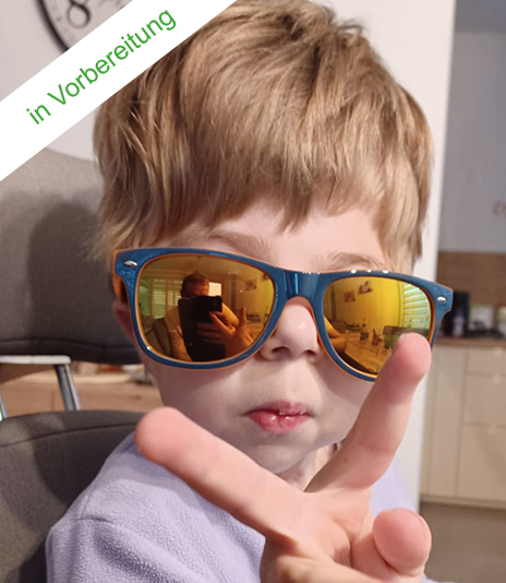 Projekt Autorampe & Schwenksitz