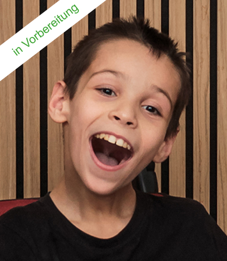 Projekt Rollstuhlgerechter Autoumbau