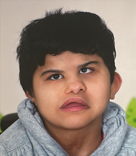 Projekt Delphin Therapie