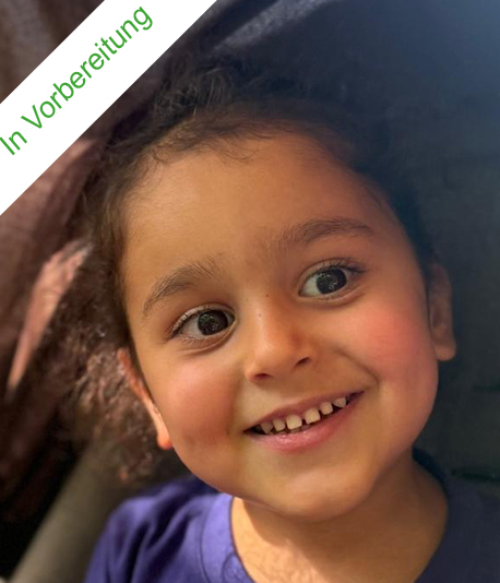 Projekt Feldenkrais Therapie